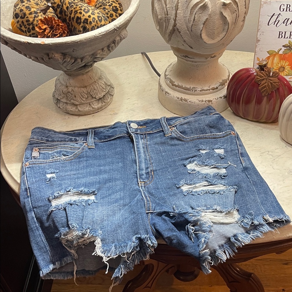 Judy Blue Ripped Blue Jean Shorts